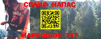шишки Волжский