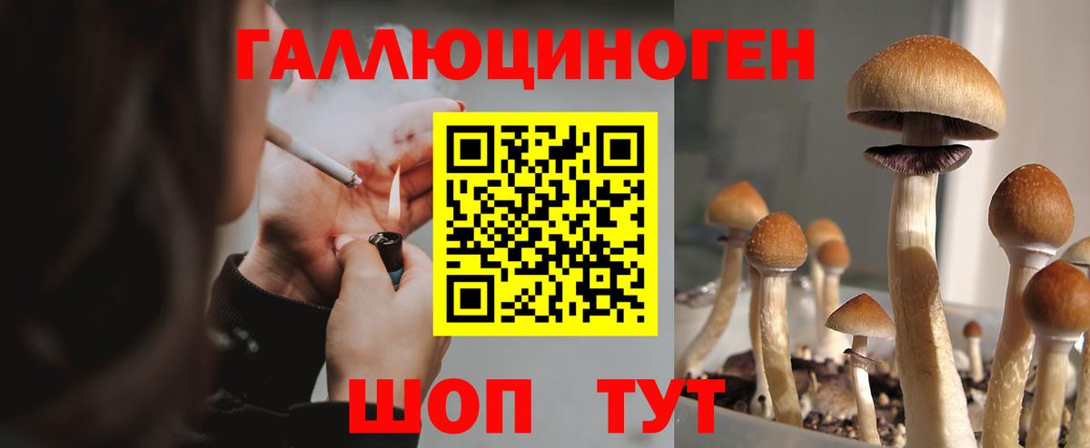 Псилоцибиновые грибы Psilocybe Нефтеюганск